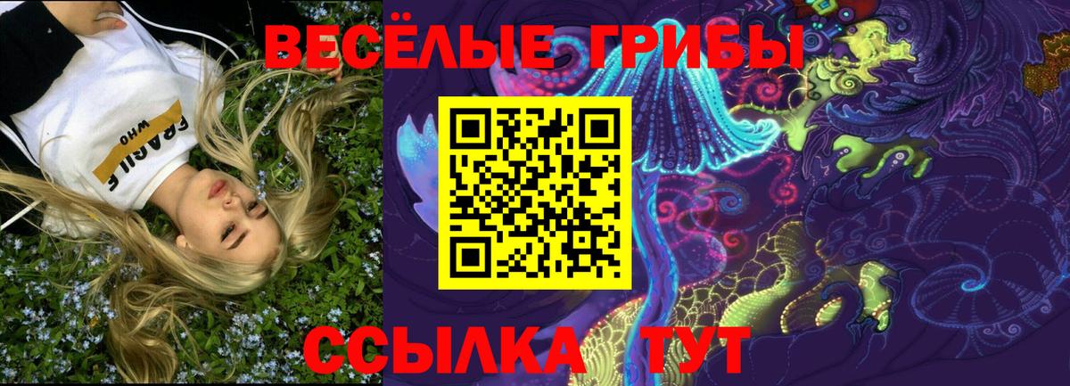 Сыктывкар  купить наркотик  Вход с VPN  Псилоцибиновые грибы MAGIC MUSHROOMS  Галлюциногенные грибы мухоморы 