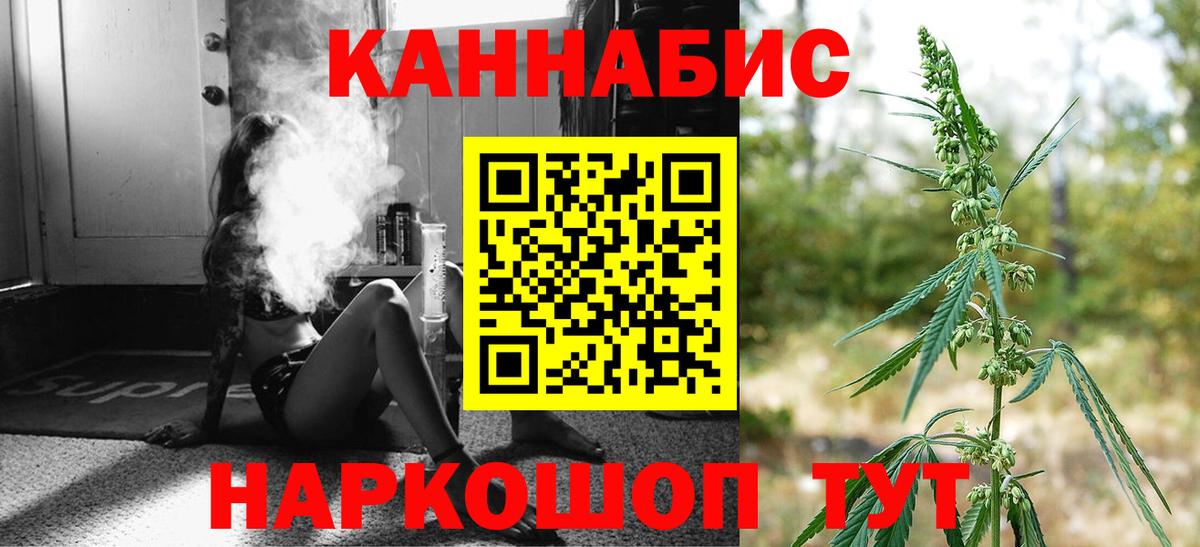 Бошки марихуана план Сыктывкар